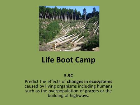 Life Boot Camp 5.9C Predict the effects of changes in ecosystems caused by living organisms including humans such as the overpopulation of grazers or the.