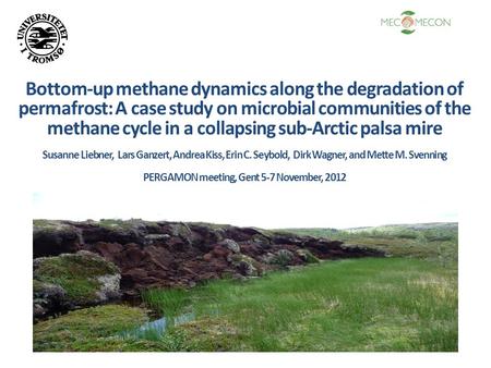 Bottom-up methane dynamics along the degradation of permafrost: A case study on microbial communities of the methane cycle in a collapsing sub-Arctic palsa.