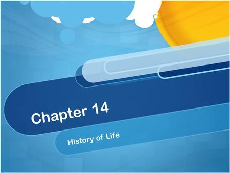 Chapter 14 History of Life. Biogenesis The principle of biogensis states that all living things come from other living things Before the 17 th century.