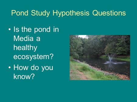 Pond Study Hypothesis Questions Is the pond in Media a healthy ecosystem? How do you know?