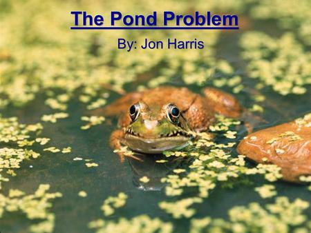 Introduction HELP!!! Mr. Harris has taken his class out to the local pond to talk about nature but has forgotten the names of all the animals he sees.