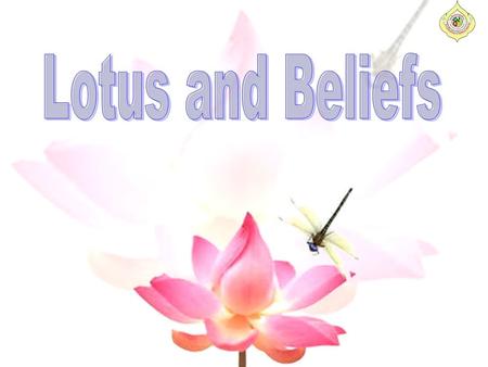 This lotus has 1,000 golden petals from which mountains rise and waters flow. In India, the Lotus also represents birth. Vishnu puts forth from his.