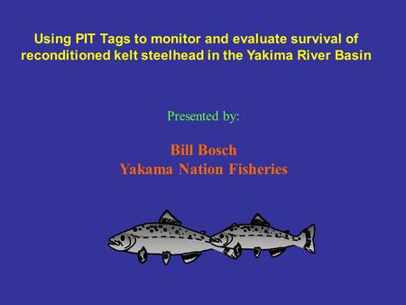 Using PIT Tags to monitor and evaluate survival of reconditioned kelt steelhead in the Yakima River Basin Presented by: Bill Bosch Yakama Nation Fisheries.
