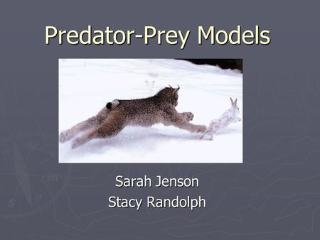Predator-Prey Models Sarah Jenson Stacy Randolph.
