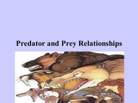 Predator and Prey Relationships. Definition of predator review: 1) We are also predators when we hunt, fish, or buy meat or vegetables from the grocery.