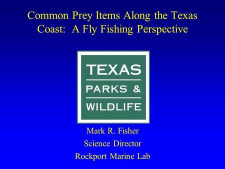 Common Prey Items Along the Texas Coast: A Fly Fishing Perspective