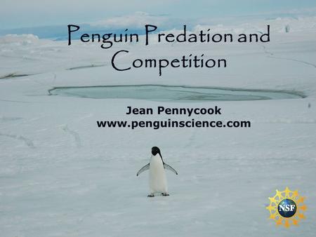 Jean Pennycook www.penguinscience.com Penguin Predation and Competition.