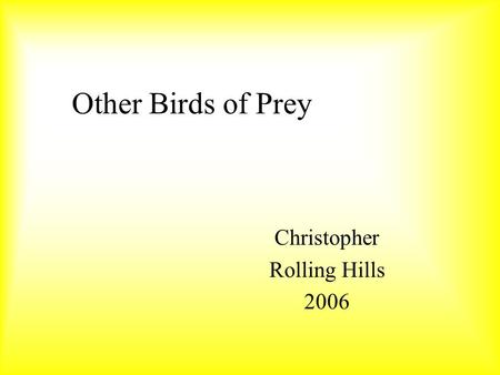 Other Birds of Prey Christopher Rolling Hills 2006.
