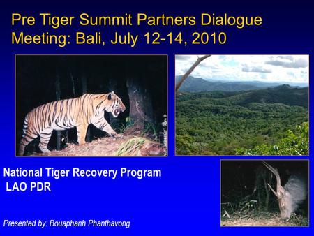 Pre Tiger Summit Partners Dialogue Meeting: Bali, July 12-14, 2010 National Tiger Recovery Program LAO PDR Presented by: Bouaphanh Phanthavong.