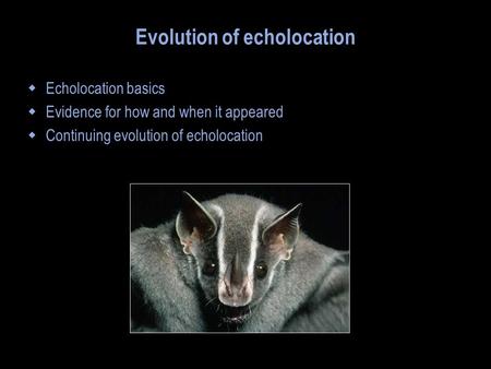 Evolution of echolocation  Echolocation basics  Evidence for how and when it appeared  Continuing evolution of echolocation.