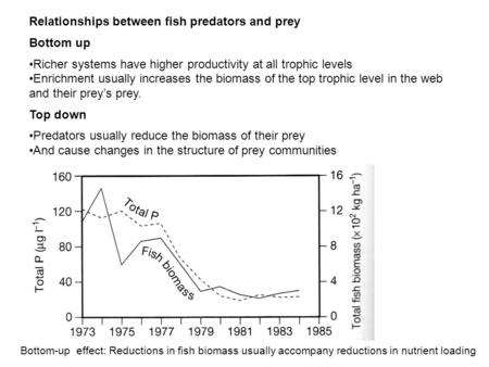 Relationships between fish predators and prey Bottom up Richer systems have higher productivity at all trophic levels Enrichment usually increases the.