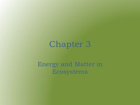 Chapter 3 Energy and Matter in Ecosystems. adaptation – an inherited trait or characteristic that helps an organism survive.