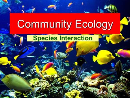 Community Ecology Species Interaction.