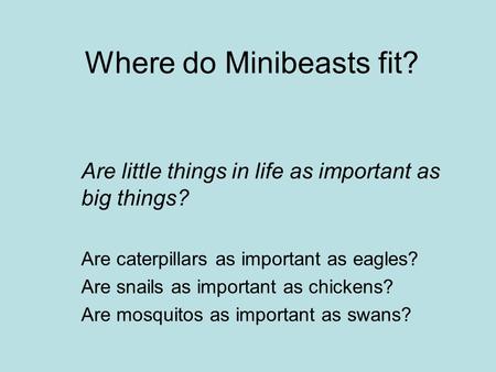 Where do Minibeasts fit?