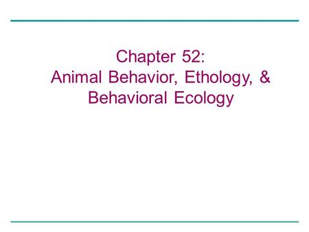 Animal Behavior, Ethology, &