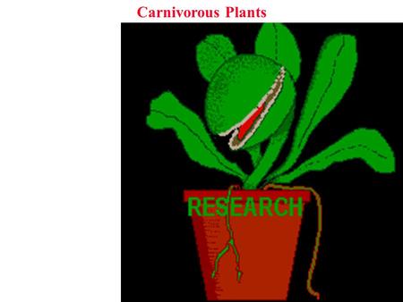 Carnivorous Plants. Why be carnivorous? Carnivorous Plants Why be carnivorous? Obtain nutrients in poor environments.