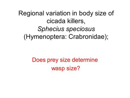 Regional variation in body size of cicada killers, Sphecius speciosus (Hymenoptera: Crabronidae); Does prey size determine wasp size?