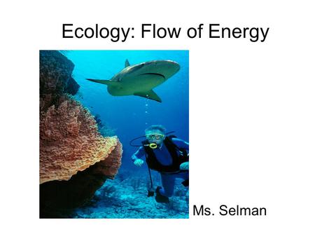 Ecology: Flow of Energy