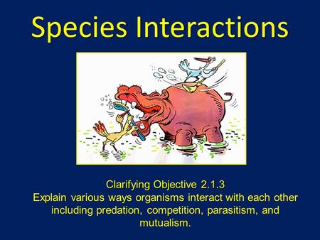 Species Interactions Clarifying Objective 2.1.3 Explain various ways organisms interact with each other including predation, competition, parasitism, and.