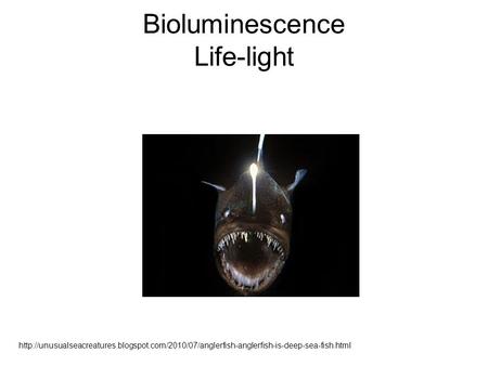 Bioluminescence Life-light