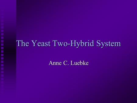 The Yeast Two-Hybrid System Anne C. Luebke. What is the yeast two-hybrid system used for? n Identifies novel protein-protein interactions n Can identify.