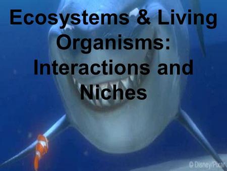 Ecosystems & Living Organisms: Interactions and Niches.