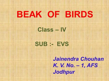 BEAK OF BIRDS Class – IV SUB :- EVS Jainendra Chouhan