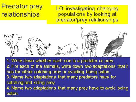 Predator prey relationships LO: investigating changing populations by looking at predator/prey relationships 1. Write down whether each one is a predator.