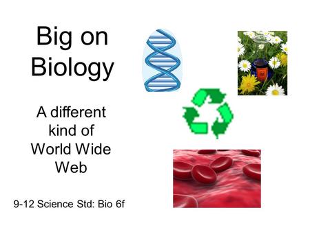Big on Biology A different kind of World Wide Web 9-12 Science Std: Bio 6f.
