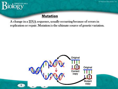 Mutation A change in a DNA sequence, usually occurring because of errors in replication or repair. Mutation is the ultimate source of genetic variation.