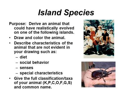 Island Species Purpose: Derive an animal that could have realistically evolved on one of the following islands. Draw and color the animal. Describe characteristics.