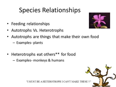 Species Relationships