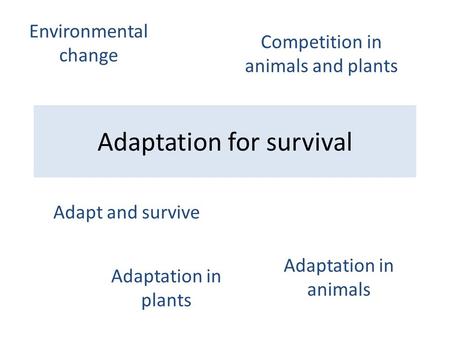 Adaptation for survival Adapt and survive Adaptation in animals Adaptation in plants Competition in animals and plants Environmental change.