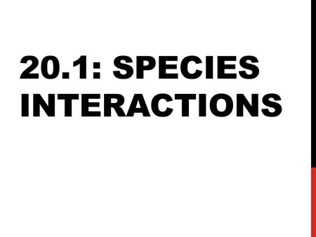 20.1: SPECIES INTERACTIONS. Species (organism) Population Community (interaction of different species) Ecosystem Biosphere.