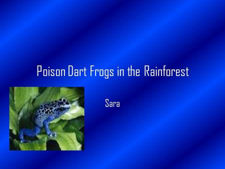 Poison Dart Frogs in the Rainforest Sara. Introduction The rainforests of the world are important to us. In the world rainforests are located in Southern.