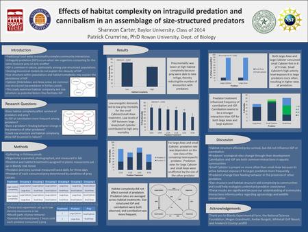 Effects of habitat complexity on intraguild predation and cannibalism in an assemblage of size-structured predators Shannon Carter, Baylor University,