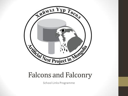 Falcons and Falconry School Links Programme. A falcon is a bird A bird has light, hollow bones No teeth and use their beaks to break up food Feathers.