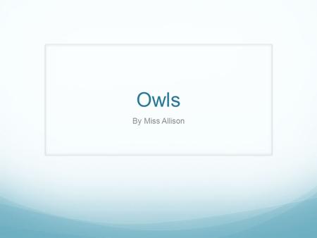 Owls By Miss Allison.