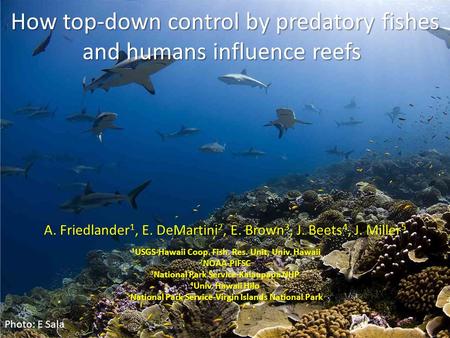 How top-down control by predatory fishes and humans influence reefs How top-down control by predatory fishes and humans influence reefs A. Friedlander.
