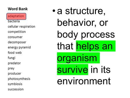 Word Bank a structure, behavior, or body process that helps an organism survive in its environment adaptation bacteria cellular respiration competition.