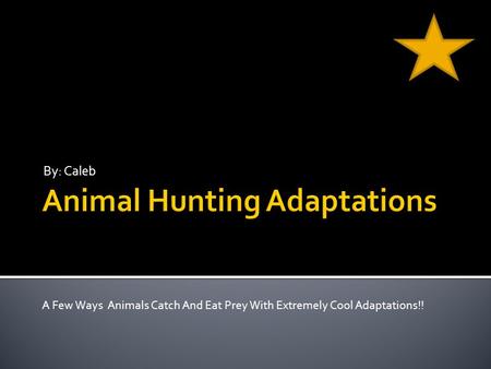 By: Caleb A Few Ways Animals Catch And Eat Prey With Extremely Cool Adaptations!!