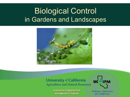 Biological Control in Gardens and Landscapes Statewide Integrated Pest Management Program.