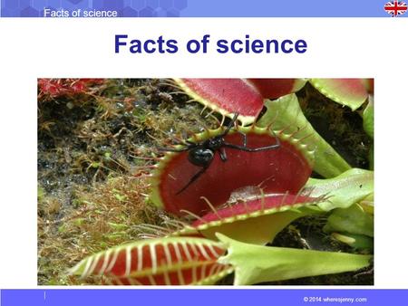 © 2014 wheresjenny.com Facts of science. © 2014 wheresjenny.com Facts of science What are Carnivorous Plants? Carnivorous plants are predatory flowering.