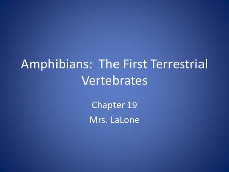 Amphibians: The First Terrestrial Vertebrates