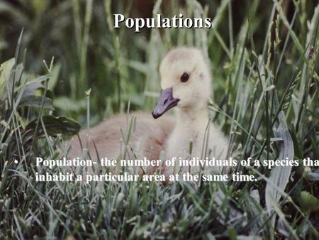 Populations Population- the number of individuals of a species that inhabit a particular area at the same time.