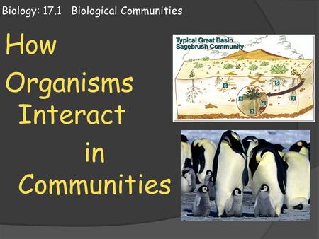 Biology: 17.1 Biological Communities