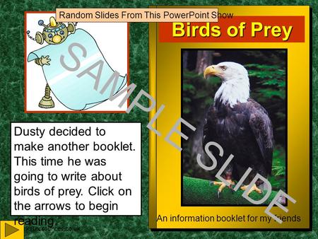 www.ks1resources.co.uk Birds of Prey An information booklet for my friends Dusty decided to make another booklet. This time he was going to write about.