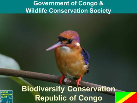 Government of Congo & Wildlife Conservation Society Biodiversity Conservation Republic of Congo.