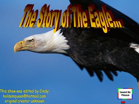 The Story of The Eagle… This show was edited by Cindy: