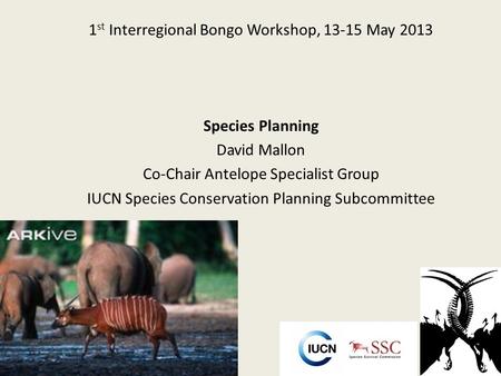 1 st Interregional Bongo Workshop, 13-15 May 2013 Species Planning David Mallon Co-Chair Antelope Specialist Group IUCN Species Conservation Planning Subcommittee.